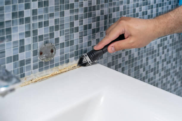 Best Black Mold Removal  in Nedrow, NY